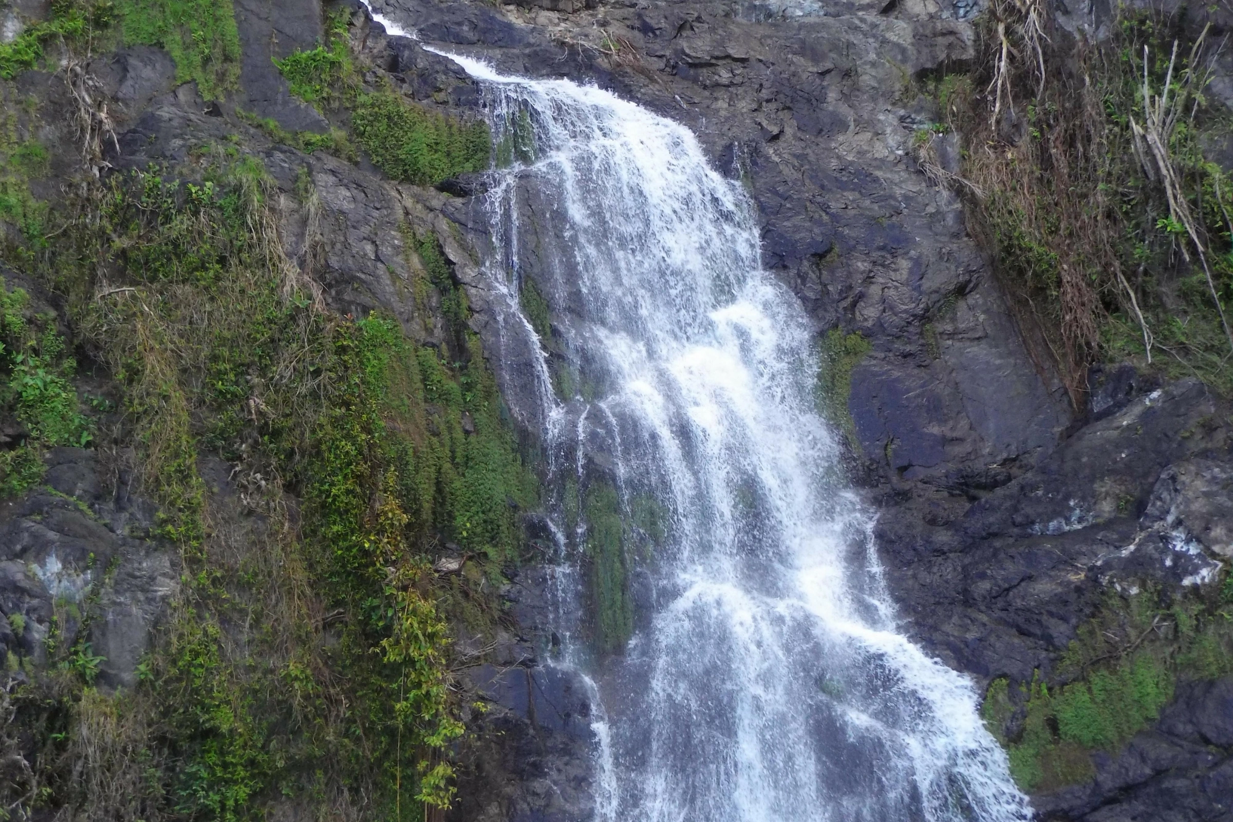 Kuranda[1].webp